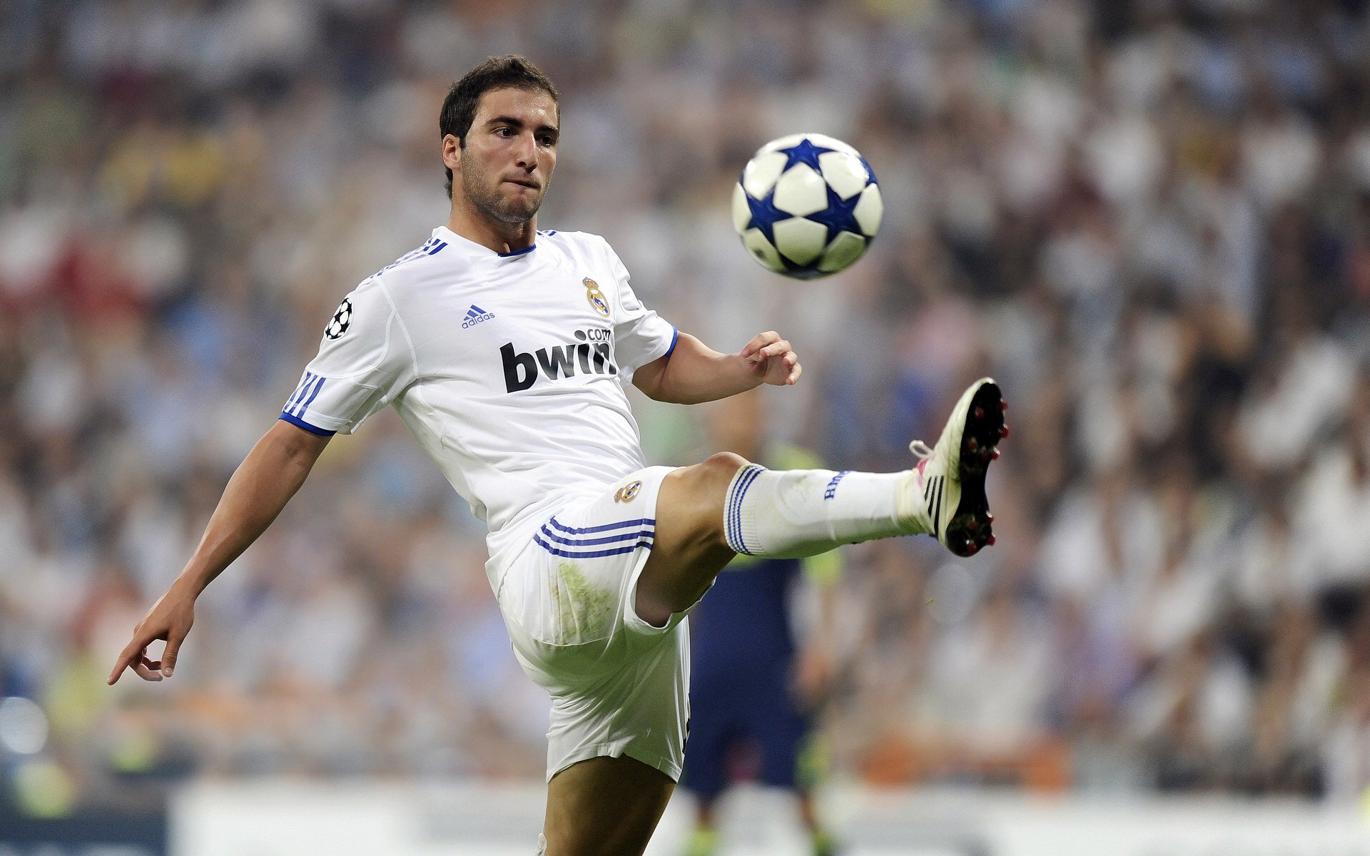 开云网页版登录入口-伊朗男足在巴黎奥运会上展现出强大的团队协作能力，伊朗 男足