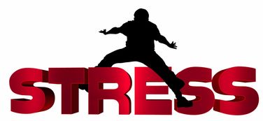 kaiyun网站-NBA球员心理压力识别及干预技术研究，nba球员性格问题