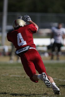 kaiyun开云·官方网站-全国青少年跳水锦标赛在深圳火热进行，全国青少年跳水比赛