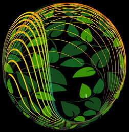 开云体育-未来青训：生态系统构建助推足球强国梦，足球生态系统建设