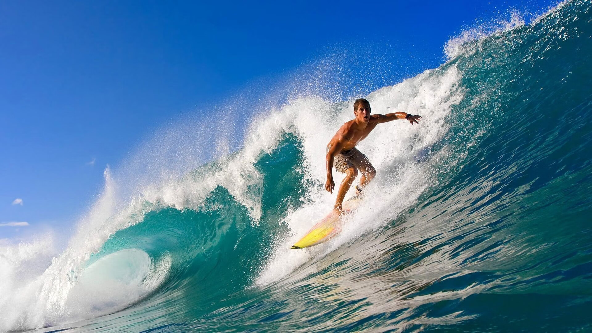 开云·体育官网-“血战擂台，自由搏击在四川省体育馆点燃激情！”