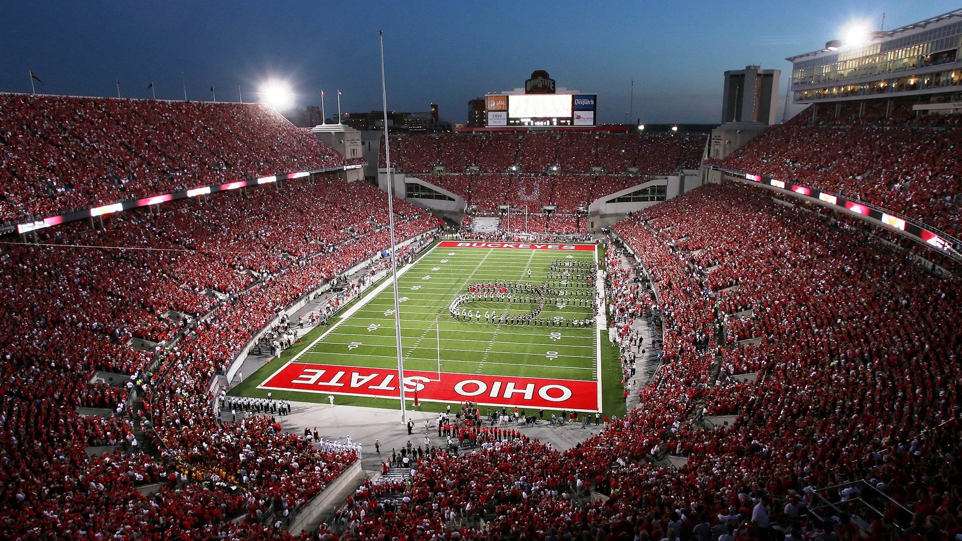 跳水动作干净利落获高分,跳水动作详解